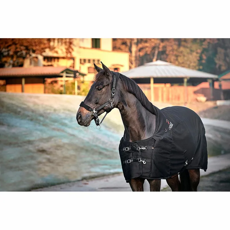 Catago Fir-Tech Horse Rug in Navy-1